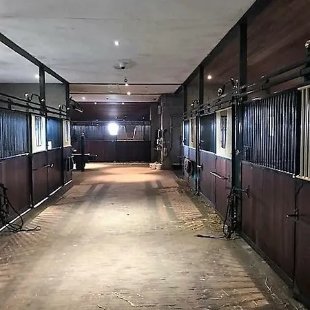 House Zoute Stables 125sqm In 5 Ha Near Seaside In Дом отдыха